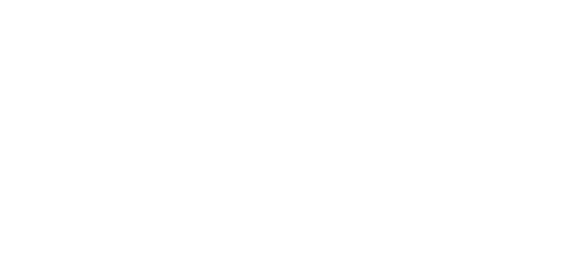Logo Orion